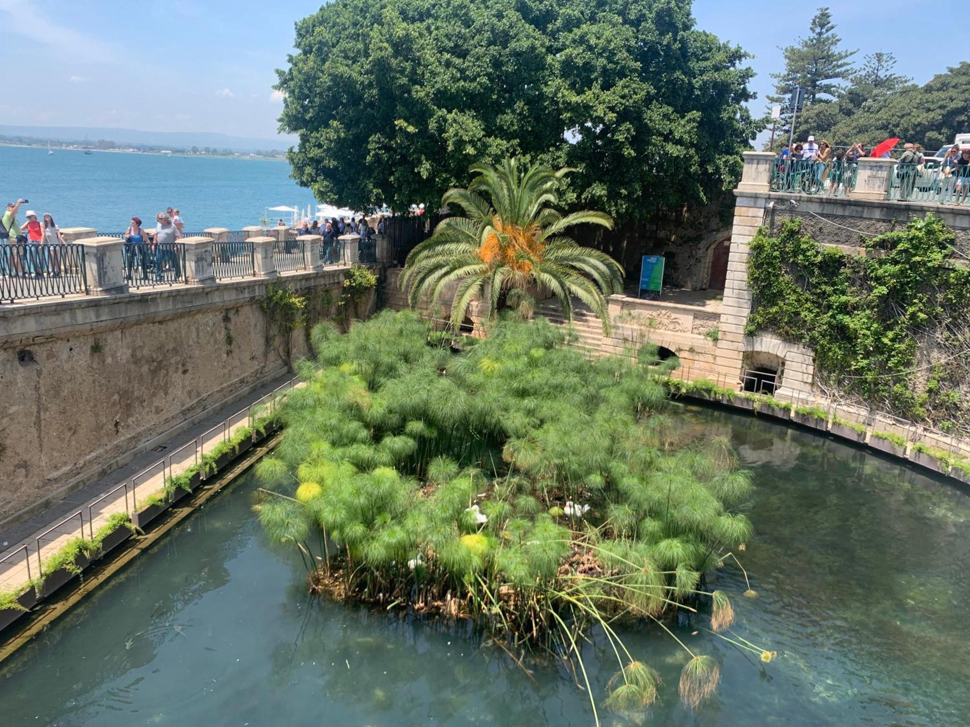 Simona'S Home Ortigia Συρακούσες Εξωτερικό φωτογραφία